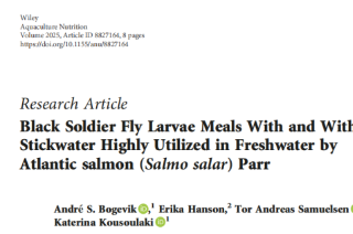 添加或不添加蛋白水的黑水虻幼虫粉在大西洋鲑幼鱼淡水养殖中均获高效利用